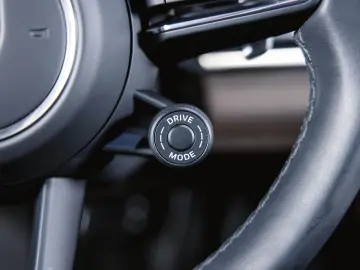 Panamera 4 E-Hybrid Platinum Edit. Sportabgas