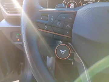 CUPRA Formentor VZ5 2.0 TSI 4Drive Matrix LED Leder P.