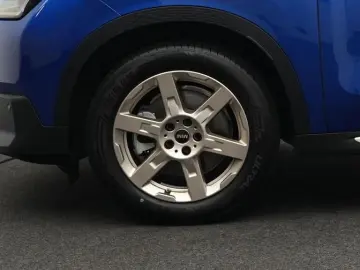MINI Favoured Trim