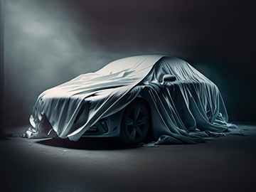 Golf VIII 2.0 TSI R-Line DSG 4Motion R-Line 2.0